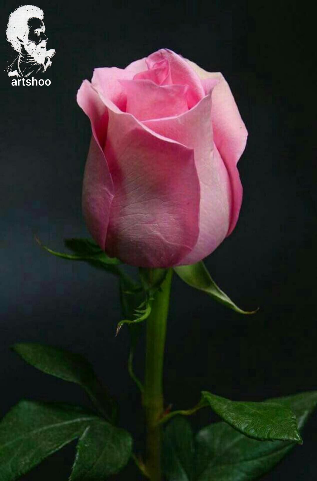 آموزش نقاشی رنگ روغن